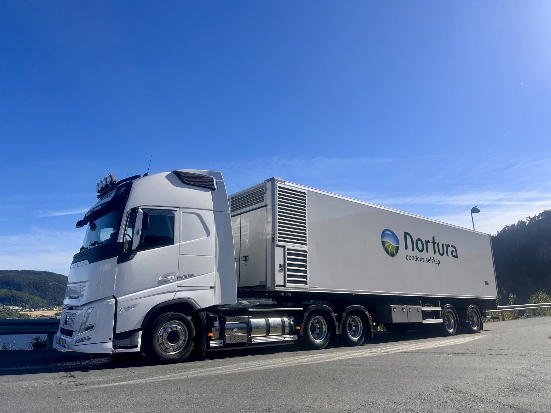 Transport av daggamle kyllinger